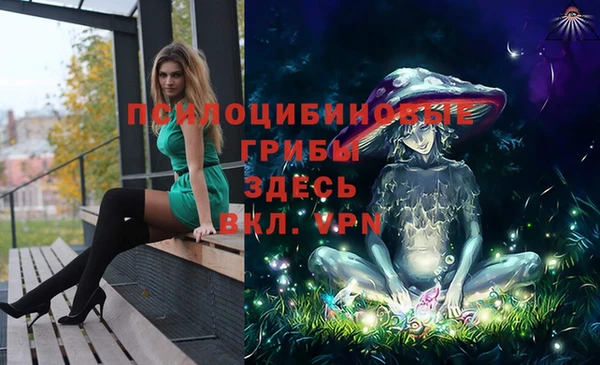 мет Абаза