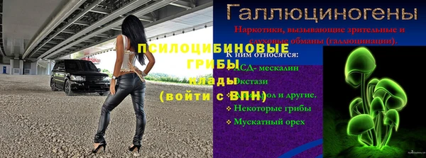 мет Абаза