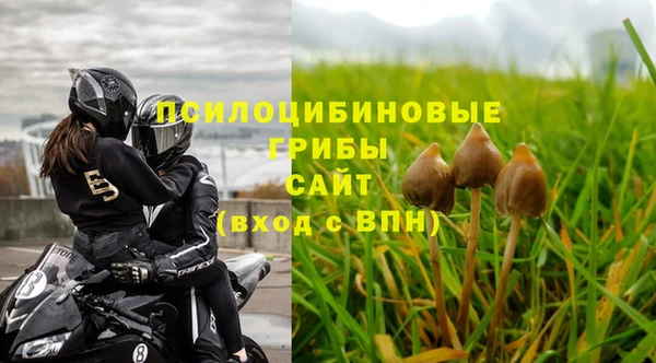 мет Абаза