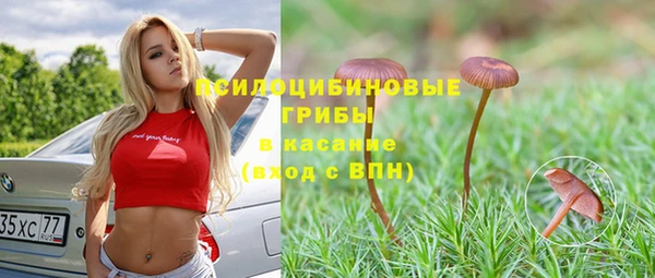 мет Абаза